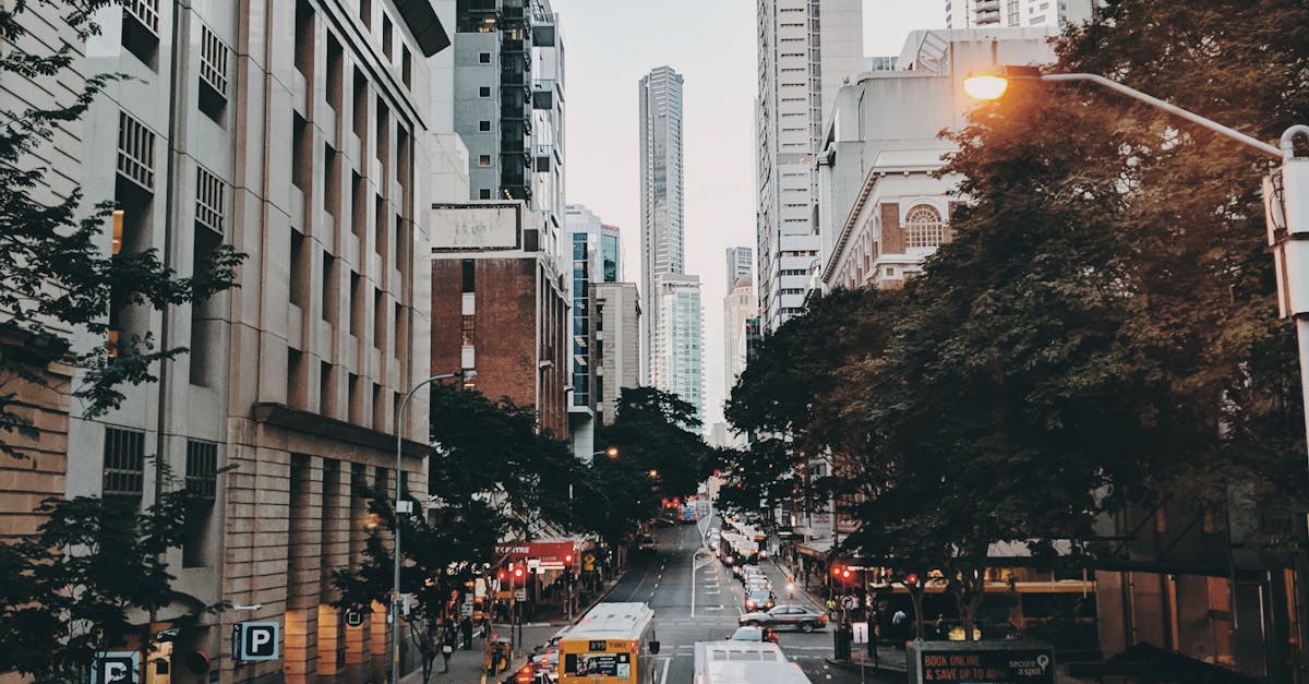 A Comprehensive Guide to Electro-Acupuncture Equipment