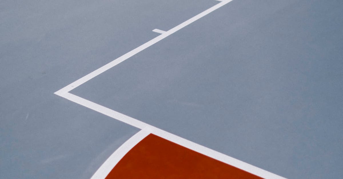 Distinction Between Diploma and Degree in Acupuncture Education