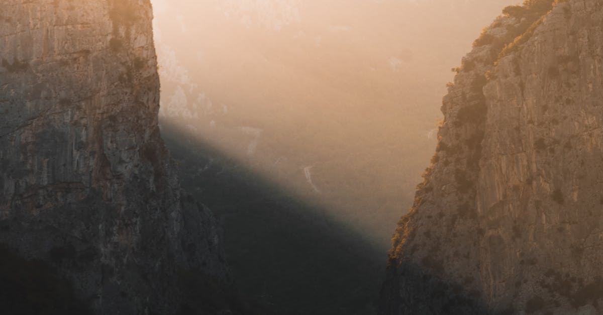 Exploring Gynaecological Acupuncture Techniques for Women