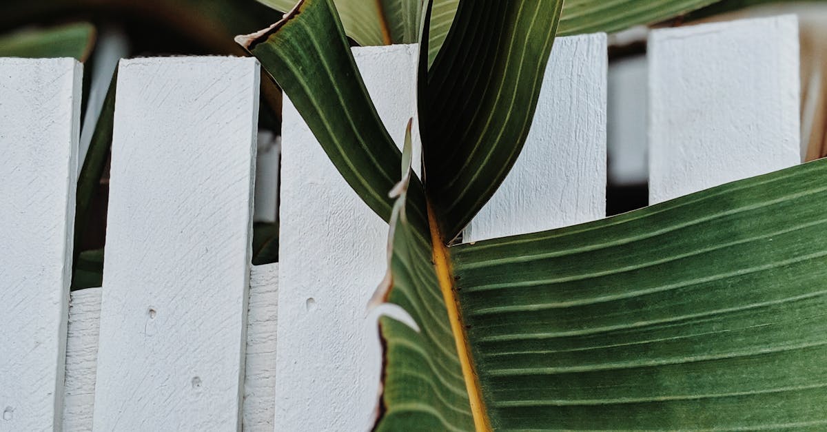 How Regular Acupuncture Sessions Changed My Wellness Routine