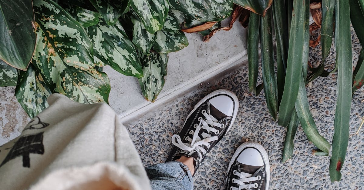 Moxibustion for Stress Relief: Techniques and Benefits