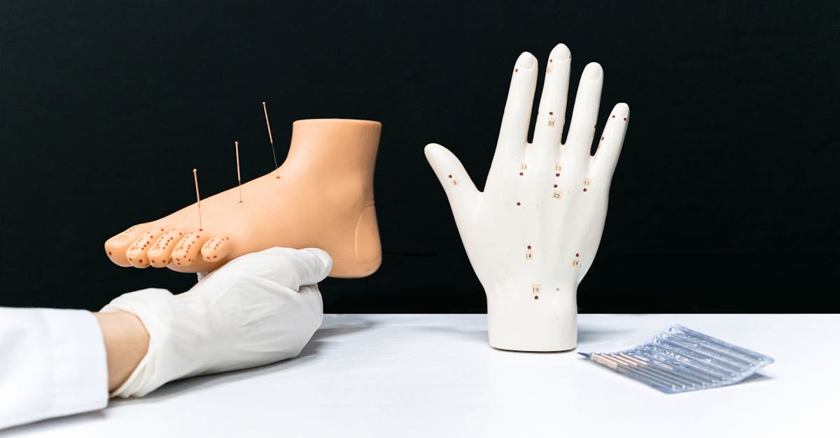 Overview of Acupuncture Education Pathways in Brisbane