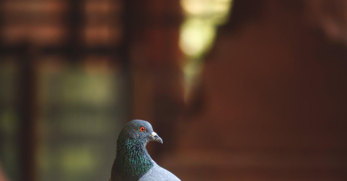 Real-Life Results of Acupuncture for Anxiety Management