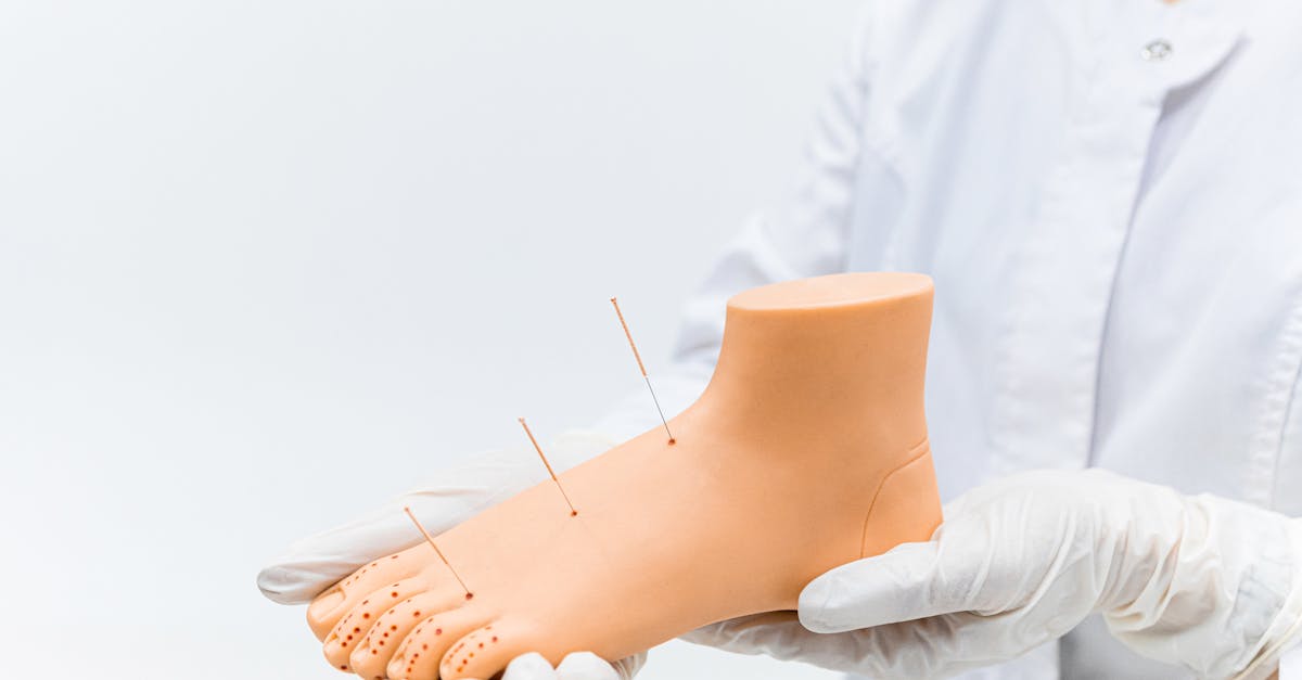 Trends in Continuing Education for Traditional Chinese Medicine Practitioners